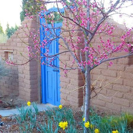Chocolate Turtle B&B Corrales Exterior photo
