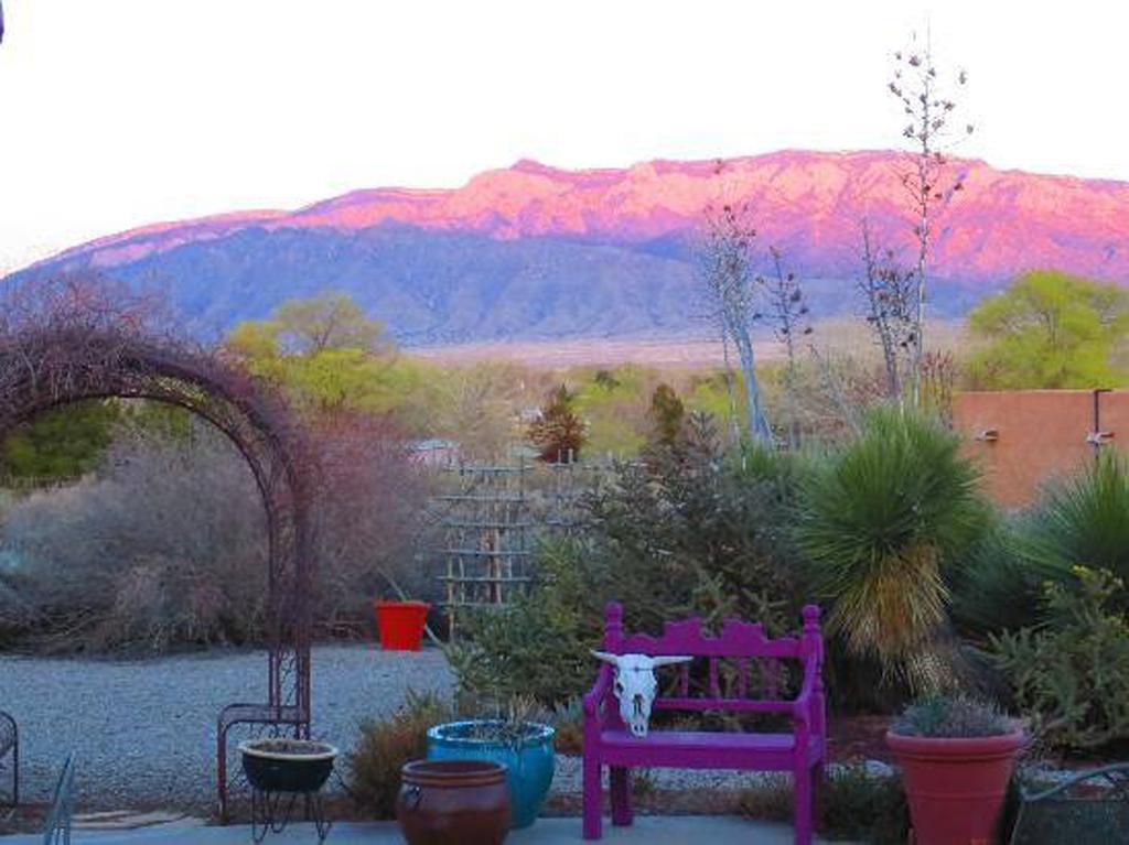 Chocolate Turtle B&B Corrales Exterior photo